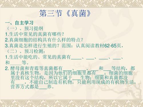 第三节 真菌(第14课时)