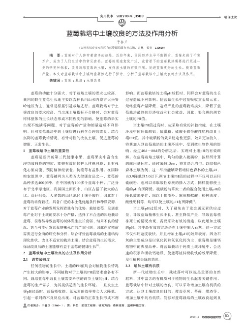 蓝莓栽培中土壤改良的方法及作用分析