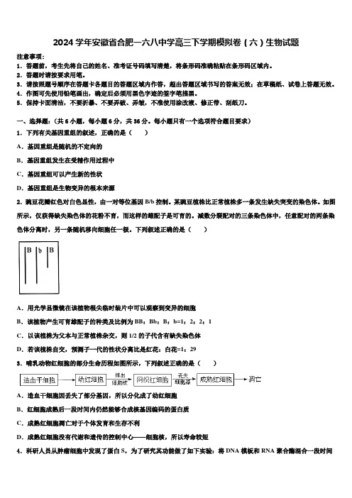 2024学年安徽省合肥一六八中学高三下学期模拟卷(六)生物试题含解析