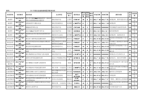 项目信息导出表