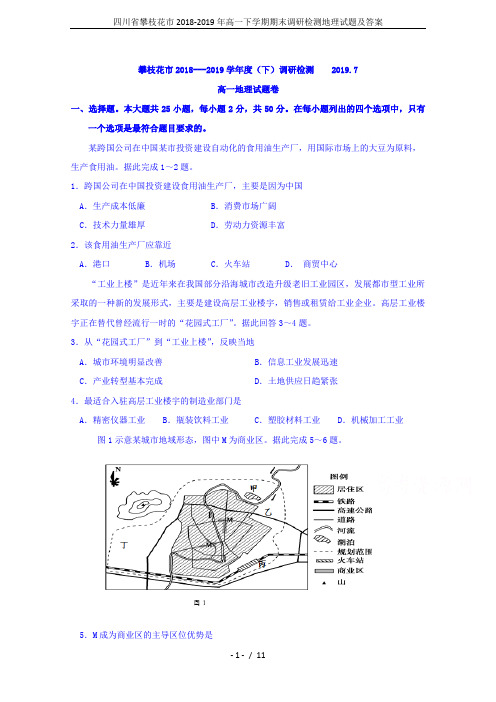 四川省攀枝花市2018-2019年高一下学期期末调研检测地理试题及答案