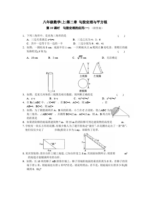 八年级数学(上)第二章 勾股定理与平方根 课时练习：第10课时 勾股定理的应用(1)