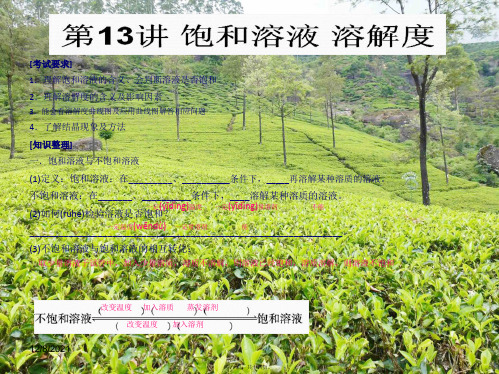 中考化学知识点冲刺 第13讲 饱和溶液 溶解复习课件