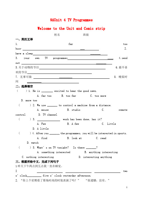 九年级英语下册 Unit 4 Welcome to the Unit and Comic strip 练习 牛津版