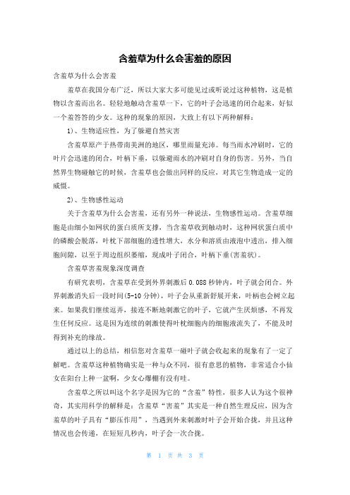 含羞草为什么会害羞的原因