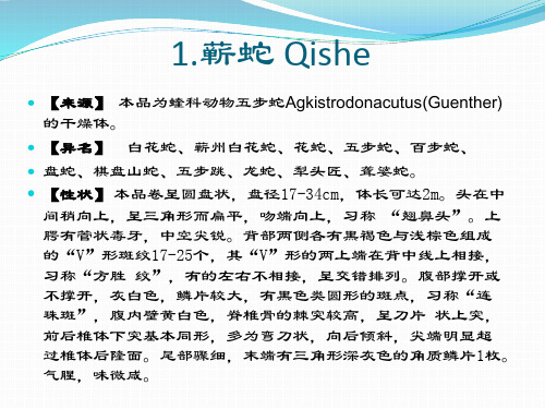 中药材冷备品种(动物篇)