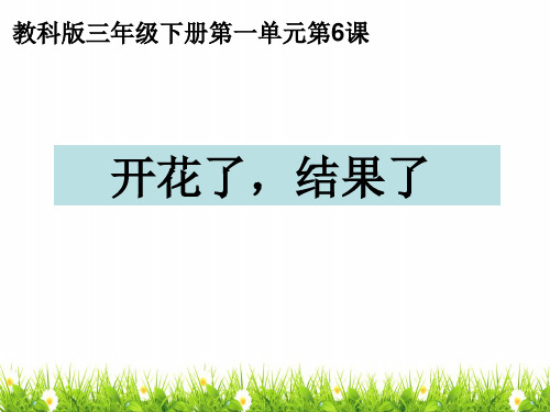 最新教科版科学三年级下册《开花了结果了》精品课件