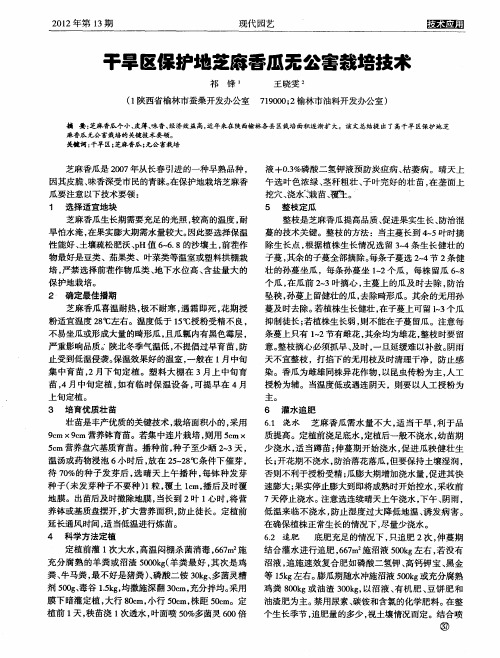 干旱区保护地芝麻香瓜无公害栽培技术
