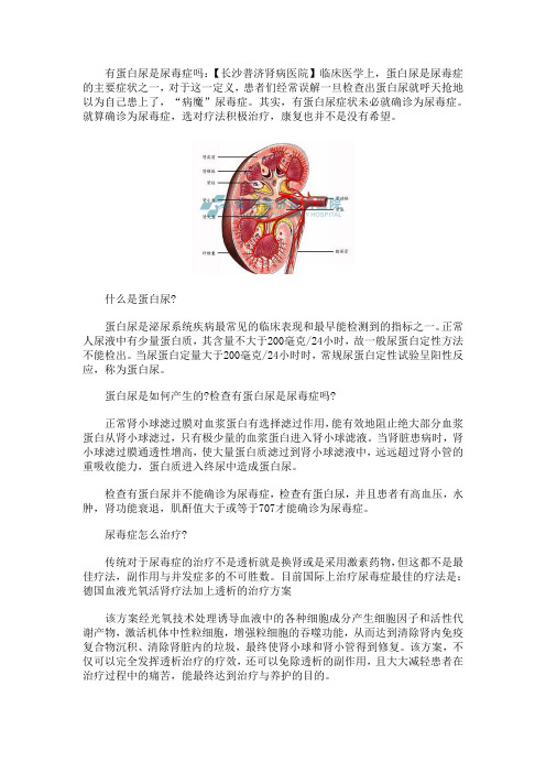 有蛋白尿是尿毒症吗