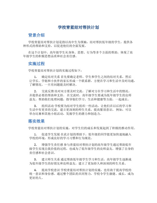 学校青蓝结对帮扶计划