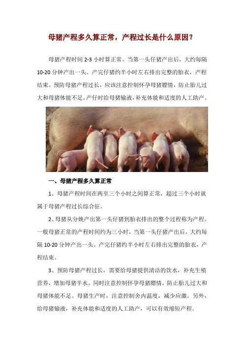 母猪产程多久算正常,产程过长是什么原因？