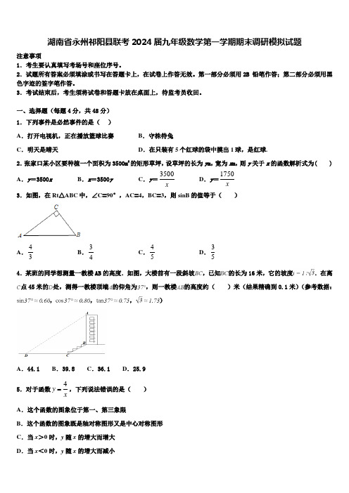 湖南省永州祁阳县联考2024届九年级数学第一学期期末调研模拟试题含解析