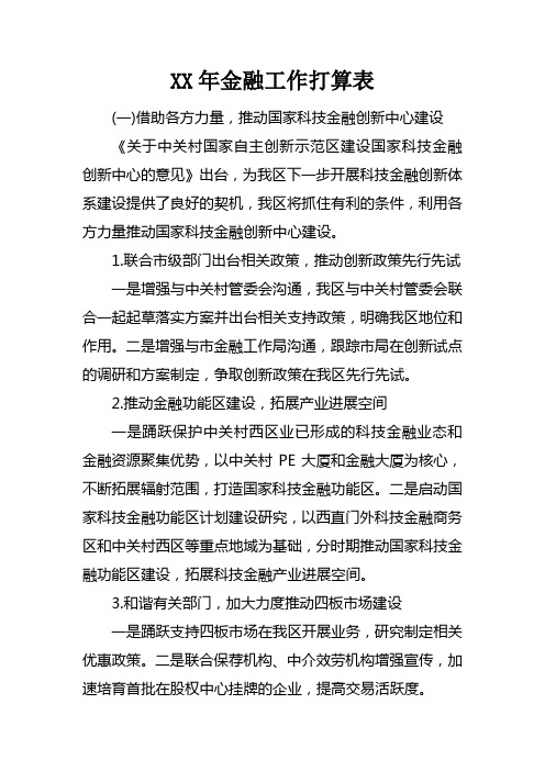 XX年金融工作打算表