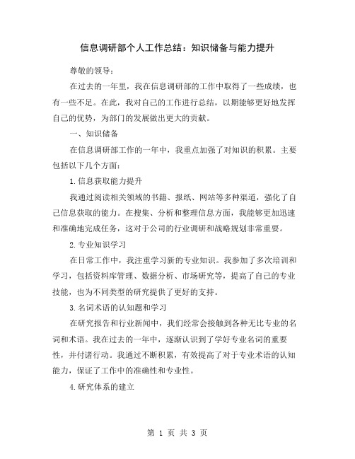 信息调研部个人工作总结：知识储备与能力提升