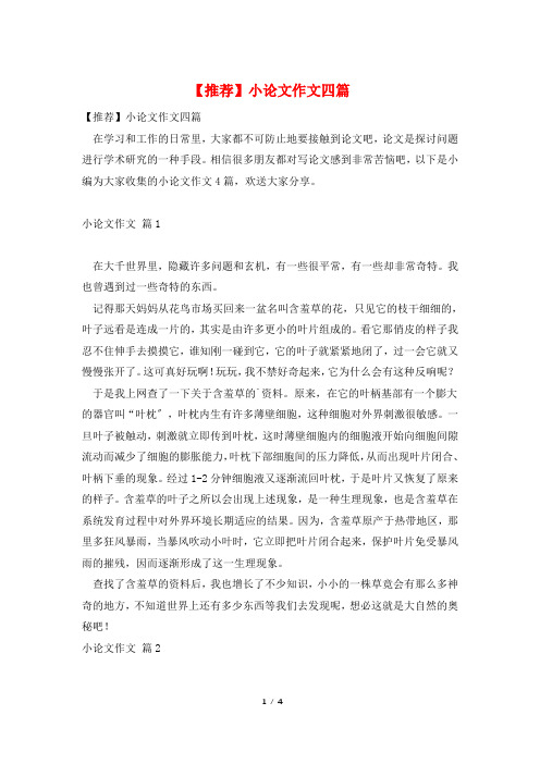 小论文作文四篇