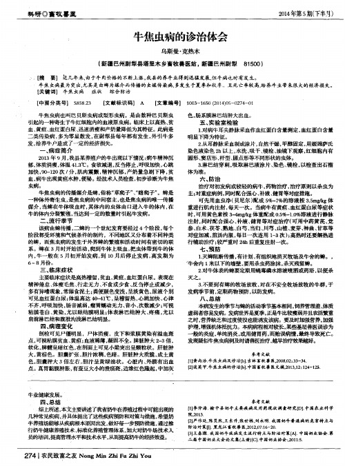 牛焦虫病的诊治体会