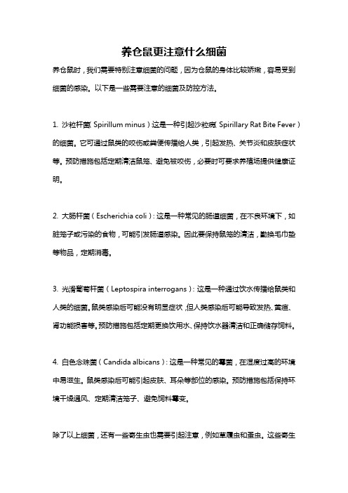 养仓鼠更注意什么细菌