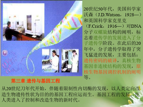 遗传与基因工程ppt5 人教版精选教学PPT课件