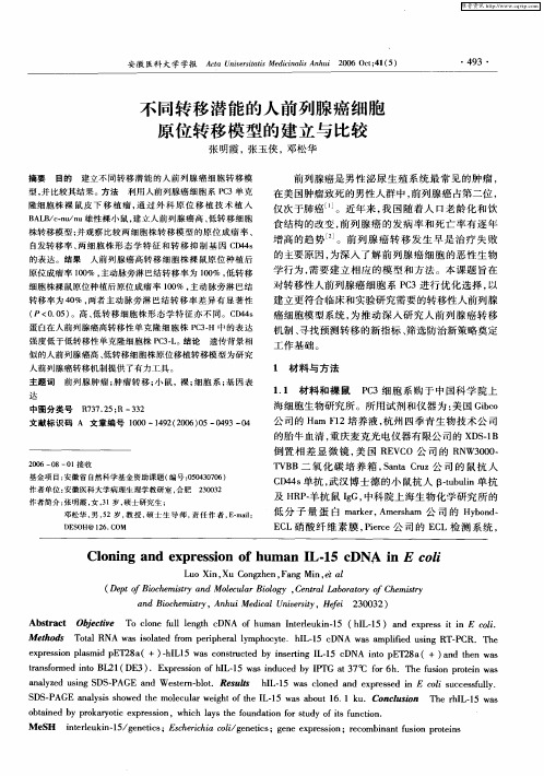 不同转移潜能的人前列腺癌细胞原位转移模型的建立与比较