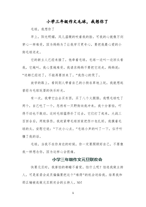 小学三年级作文毛球,我想你了