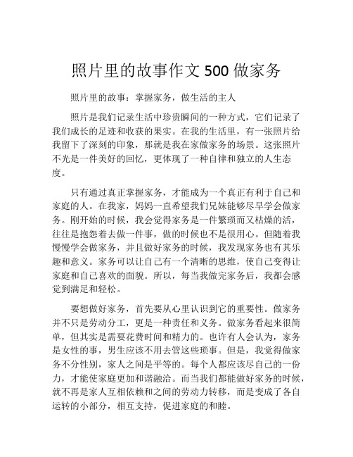 照片里的故事作文500做家务