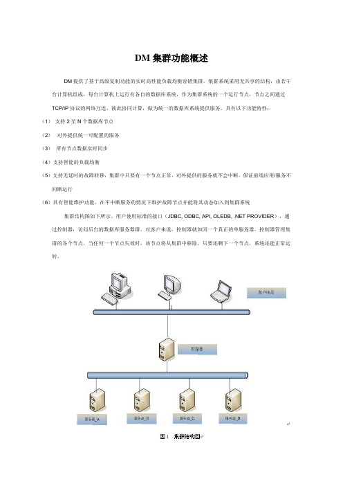 DM集群功能概述