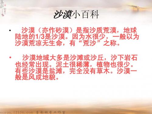 在沙漠中心(上课课件)