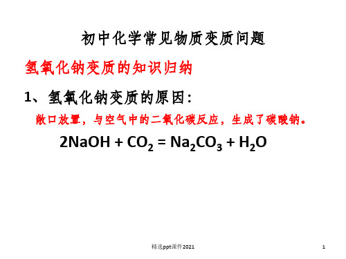 氢氧化钠变质问题 (自制)ppt课件