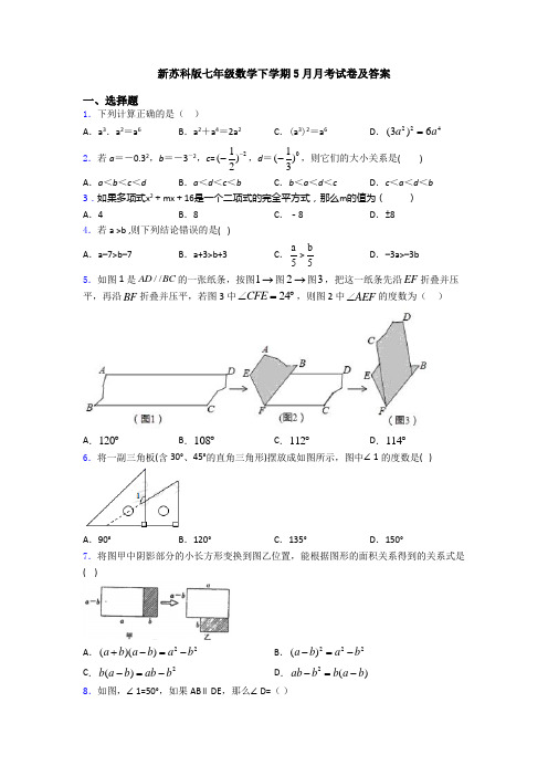 新苏科版七年级数学下学期5月月考试卷及答案