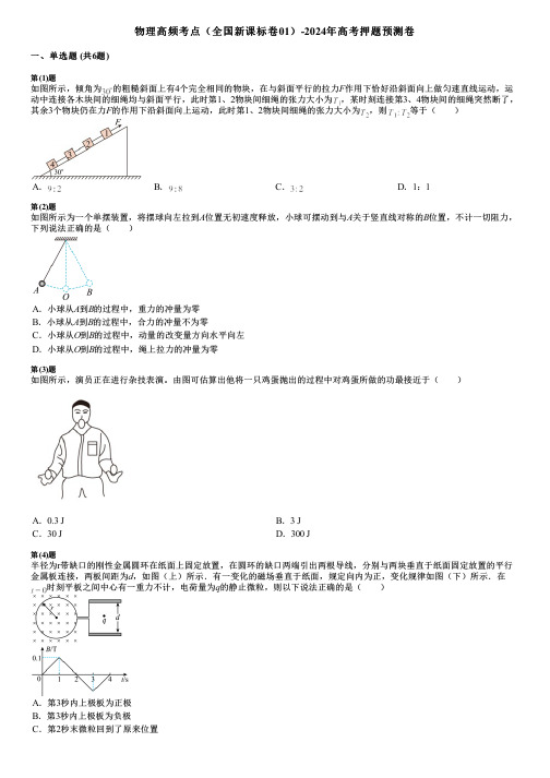 物理高频考点(全国新课标卷01)-2024年高考押题预测卷