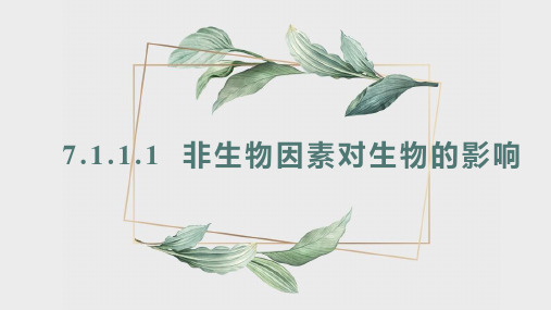 非生物因素对生物的影响 课件 初中生物冀少版八年级下册(2022年)