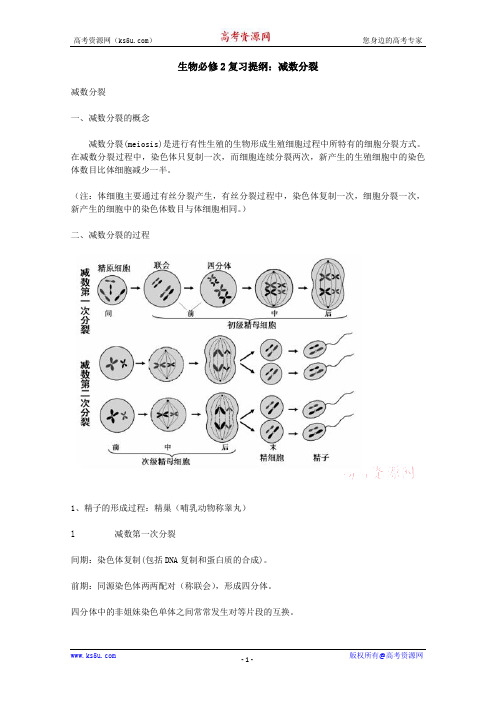 人教版生物必修2复习提纲：减数分裂