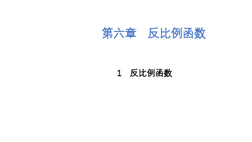 【核心素养导向】北师大版九年级上册数学6.1 反比例函数 课件(共21张PPT)