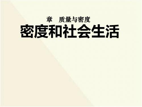 《密度与社会生活》质量与密度PPT课件3