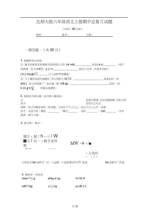 北师大版六年级语文上册期中总复习试题