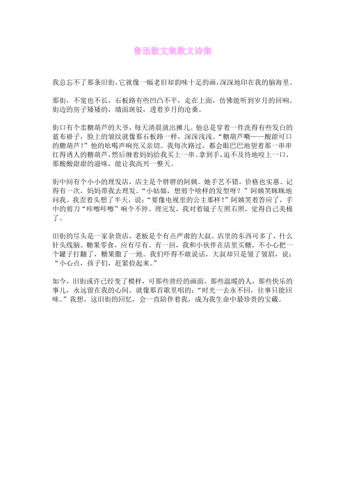 鲁迅散文集散文诗集