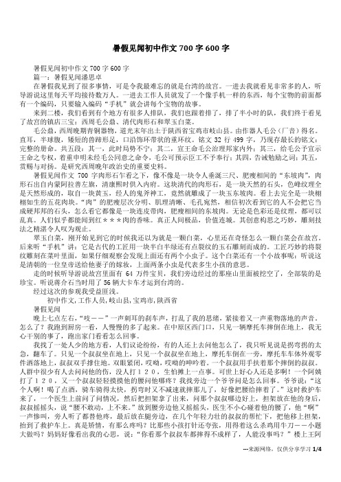 暑假见闻初中作文700字600字