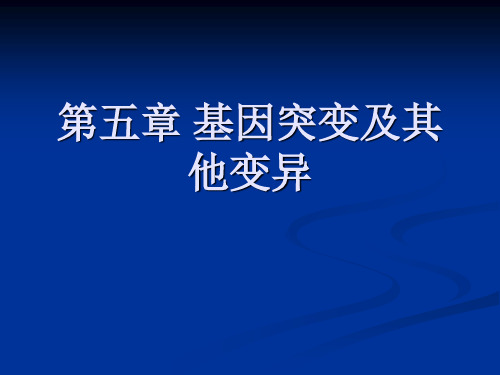 生物必修二 第五章第一节 基因突变和基因重组 (共32张PPT)