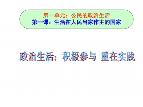 高一政治政治生活：积极参与-重在实践2