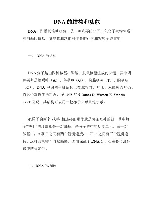 DNA的结构和功能