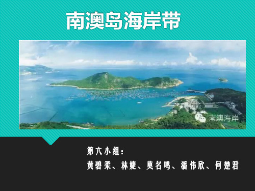 海岸带PPT最终版本