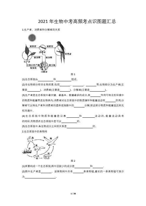 2023年生物中考高频考点识图题汇总