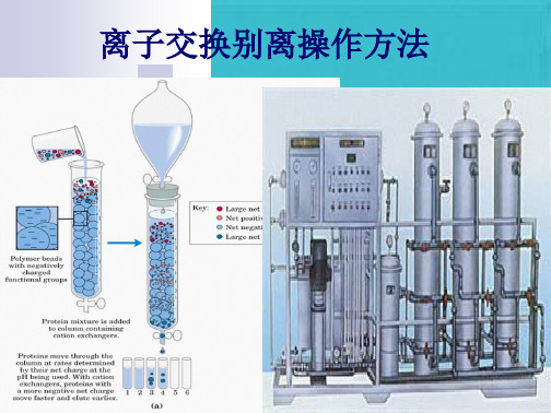 离子交换操作步骤(共15张PPT)