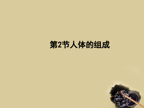人体体的组成