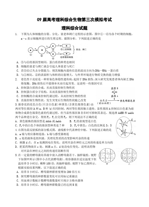 09届高考理科综合生物第三次模拟考试