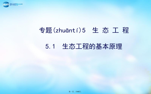 高中生物 5.1生态工程的基本原理课件 新人教版选修3 