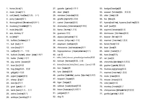 各种动物的英文单词带音标animals