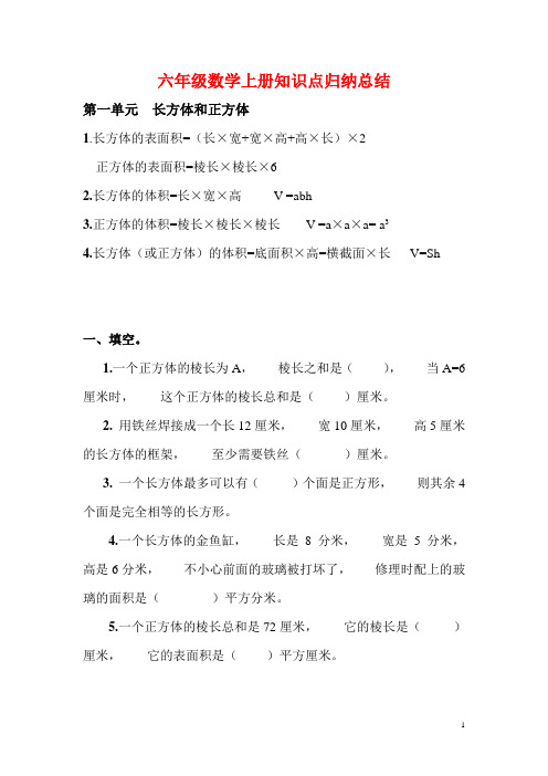 六年级数学上册知识点及习题 复习试卷试题