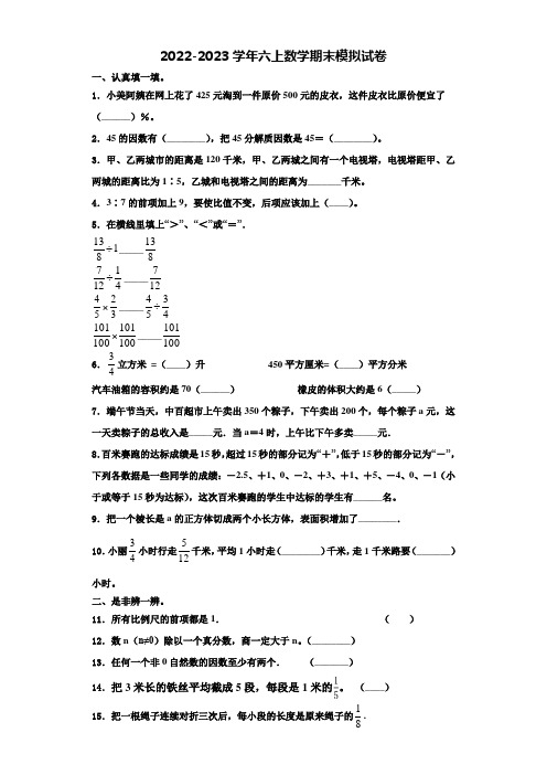 2023届湖北省武汉市武昌区六年级数学第一学期期末达标测试试题含解析