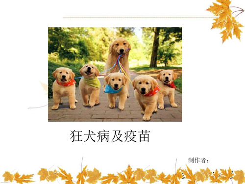 狂犬病及疫苗(药典)